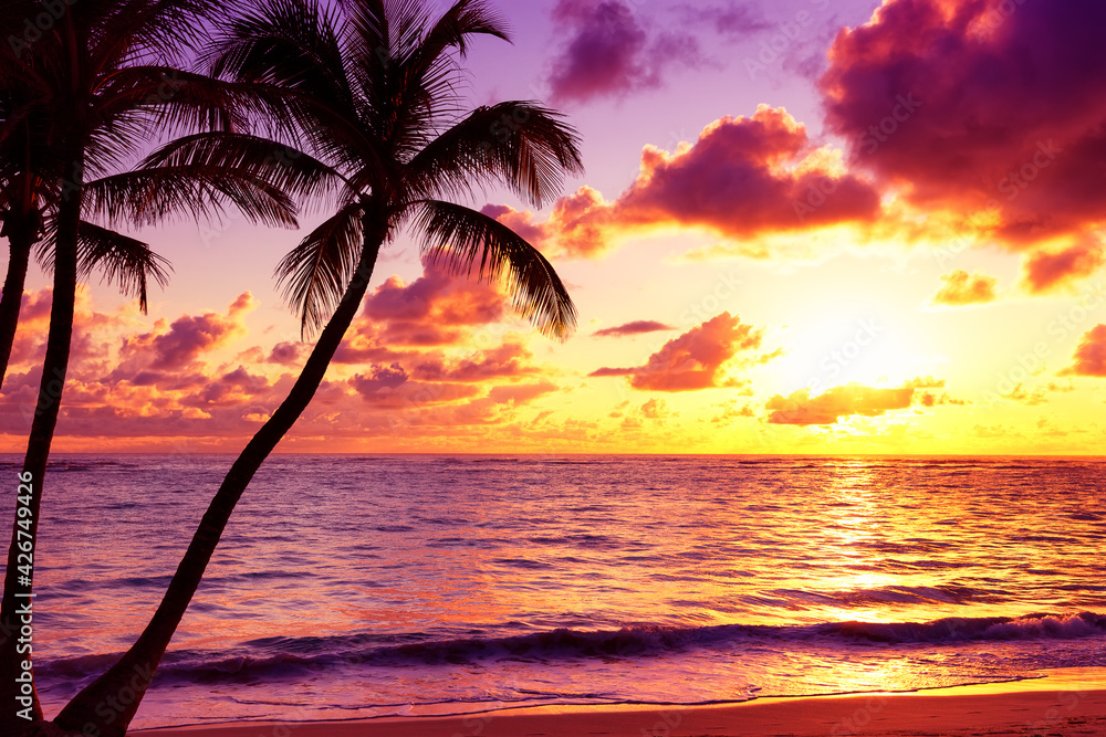 Coconut palm trees against colorful sunset on the beach in Punta Cana, Dominican Republic.