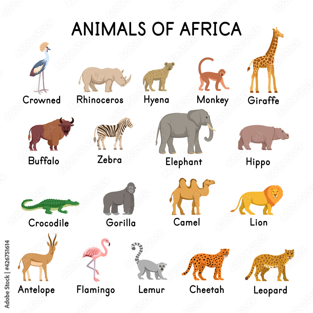 Fototapeta premium Animals of Africa: hyena, giraffe, zebra, elephant, crocodile, gorilla, lion, antelope, flamingo, lemur, cheetah, leopard, camel, buffalo, hippo, rhinoceros, crowned crane on a white background.