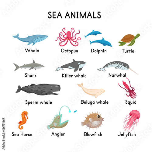 SEA ANIMALS: whale, seal, killer whale, sperm whale, narwhal, beluga, octopus, shark, dolphin, turtle, seahorse, jellyfish, angler, squid, blowfish on a white background.Flat cartoon illustration. 