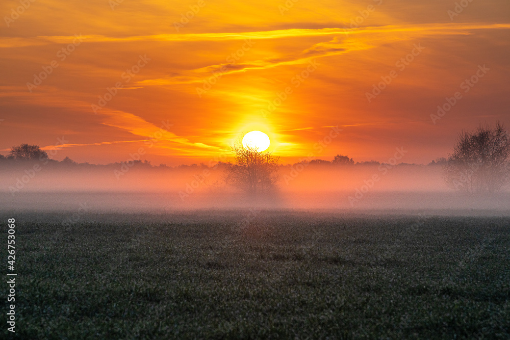 Sonnenaufgang im Moor