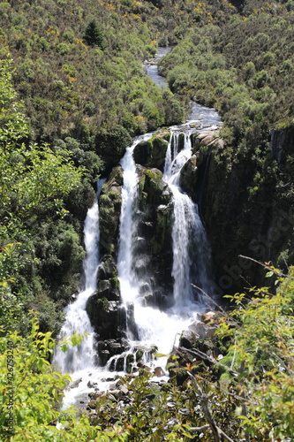 Waipunga Wasserfall   Waipunga Falls  