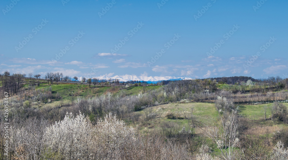 Valleys and hills with flowering trees. Snow-capped mountains Valleys and hills with flowering trees. Snow-capped mountains