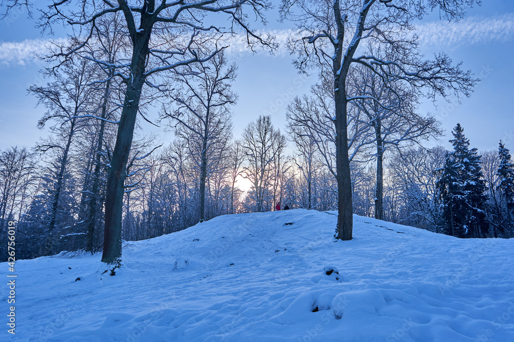 Winter landscape with trees and snow in the early morning. Winter landscape with trees and snow in the early morning.