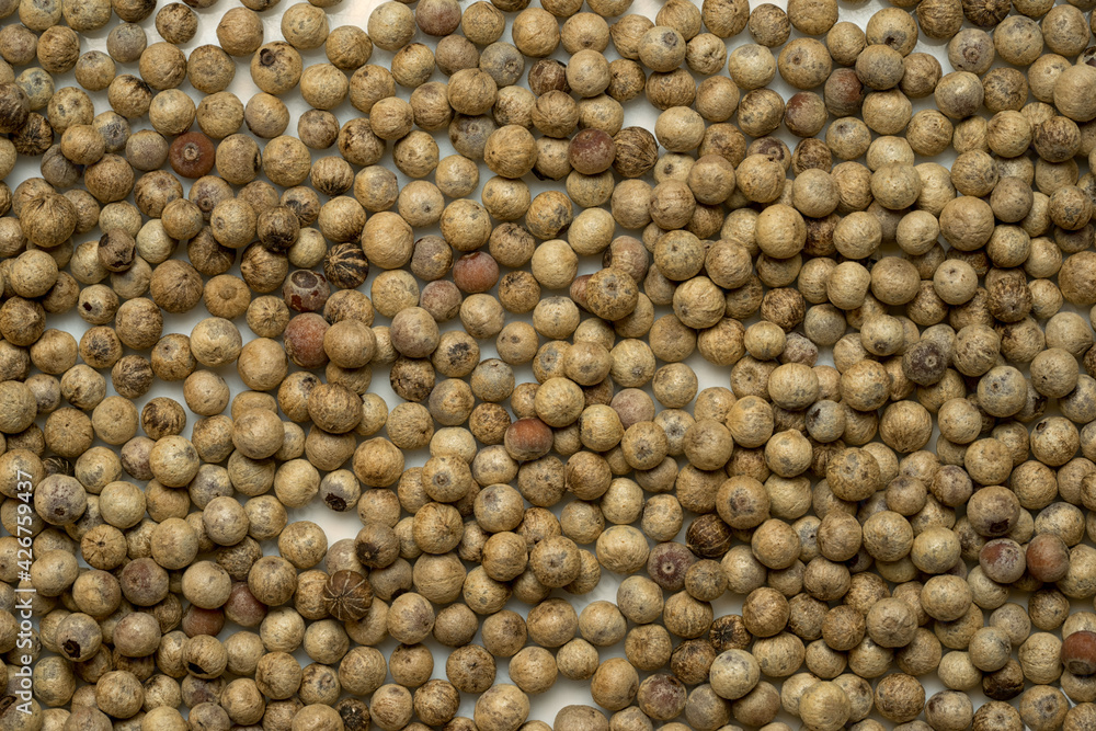 Close up of white pepper or peppercorns as background. Close up of white pepper or peppercorns as background.