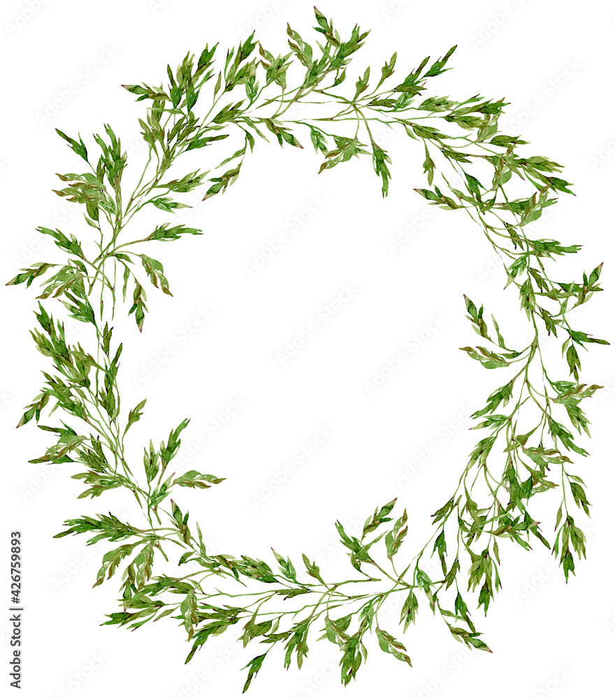 Watercolor meadow grass wreath. Green field brome grass oval template isolated on the white background.