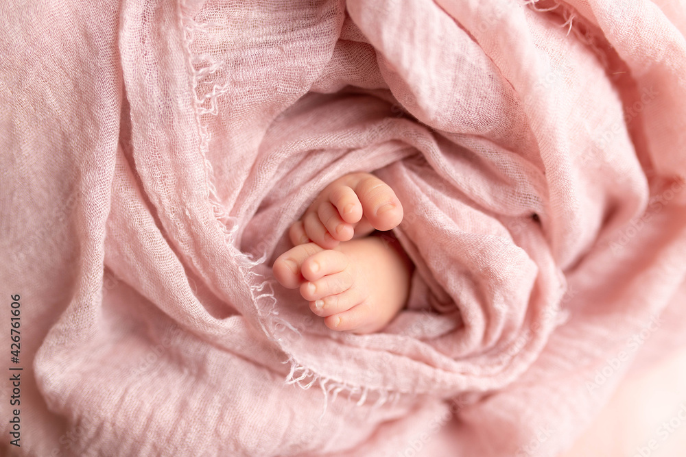 legs of a newborn baby in a pink blanket. newborn legs of a newborn baby in a pink blanket. newborn
