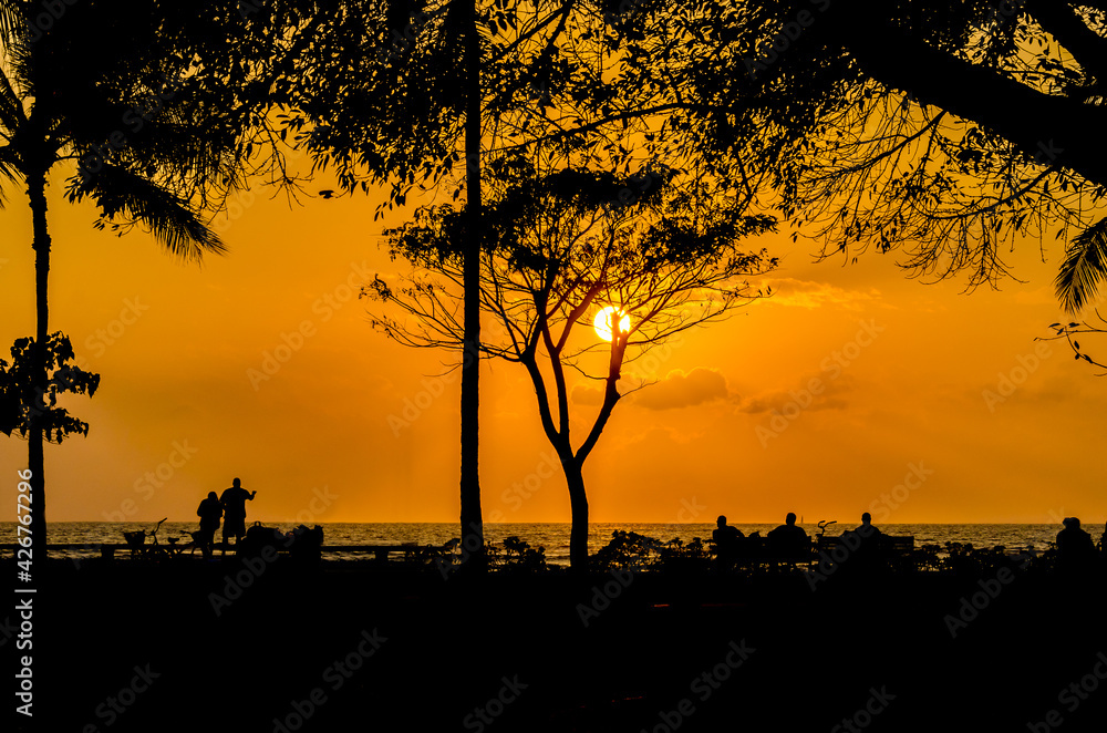 Palm and tropical trees silhouette on sunset tropical beach.