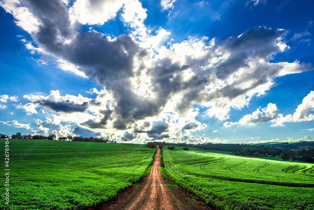 country road. beautiful rural landscape

