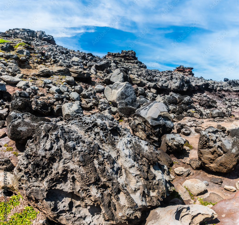 Eroded Lava Rock at The Acid Rain War Zone, Nakalele Point, Maui, Hawaii, USA