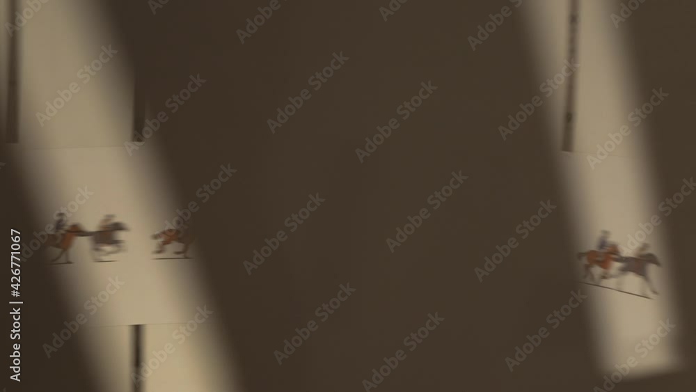 Zoetrope of horse galloping. Circular disc of horses rotating