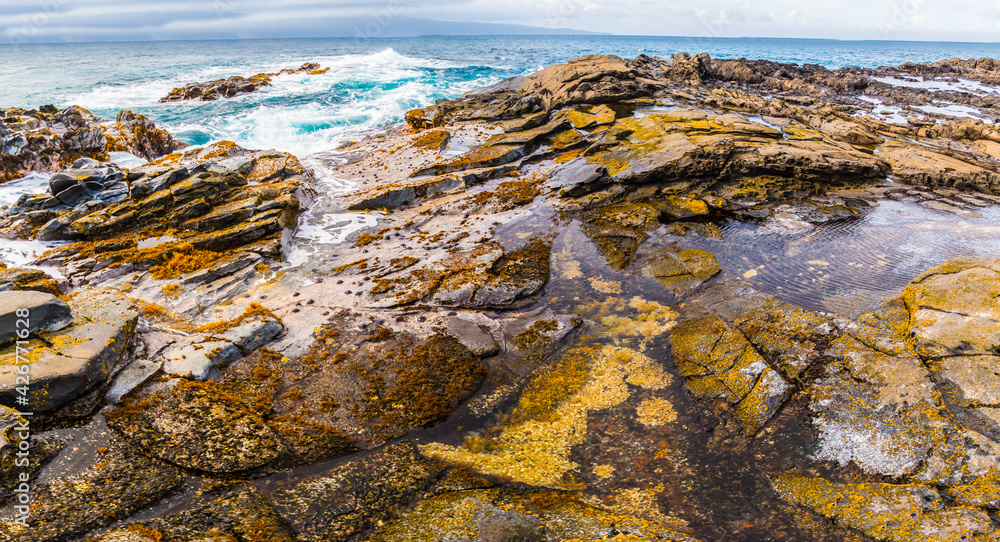 Tide Pools on Lava Formations, Makaluapuna Point, Kapalua, Maui, Hawaii, USA