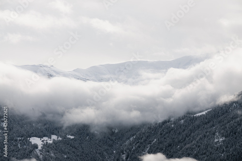 clouds accumulated above dark frosty trees below a mountain crest covered in snow