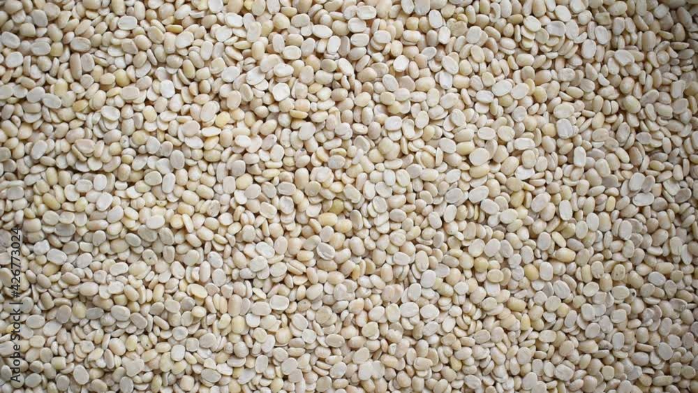 Raw split dried white Urad lentils Raw split dried white Urad lentils