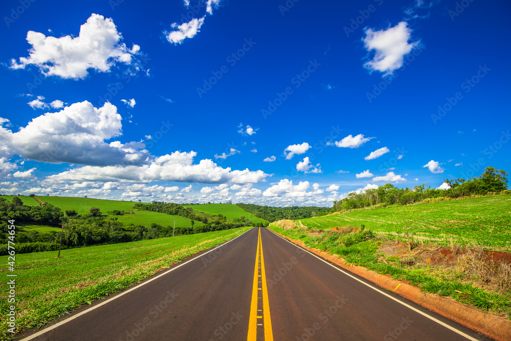 country road. beautiful rural landscape

