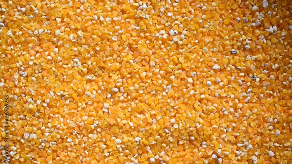 Raw broken dried Corn kernel Raw broken dried Corn kernel