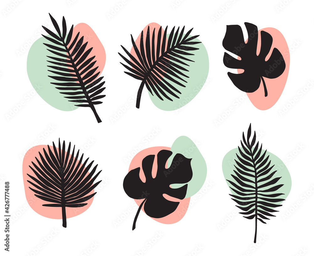 Vector set bundle of hand drawn palm and monstera leaf silhouette and abstract dot isolated on white background