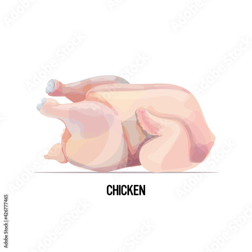 whole fresh raw chicken isolated on white background