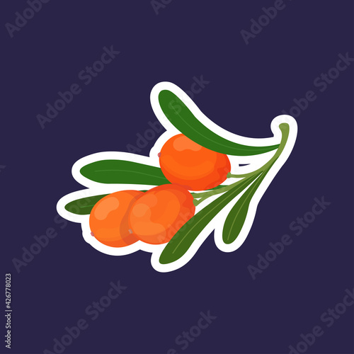 fresh juicy sea buckthorn icon tasty ripe fruit berry healthy food concept