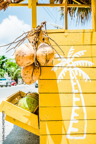 A wooden yellow fresh coconut stand in Tulum Mexico