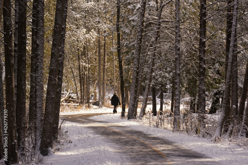 Out for a walk in a winter wonderland