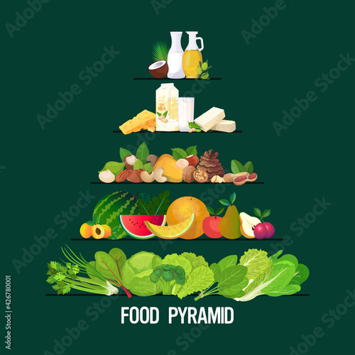 healthy food and drink pyramid healthy eating diet different groups of organic nutrition concept cereals grains fruits vegetables dairy milk herbs oil products set