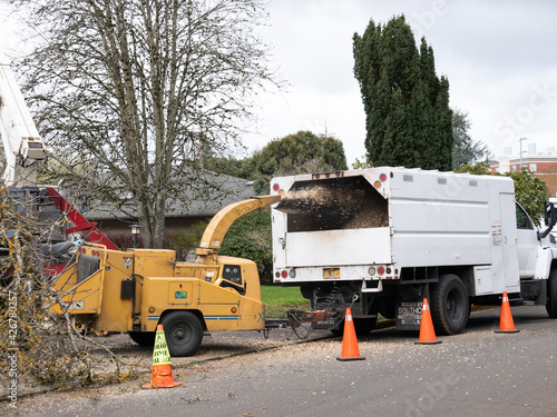large wood chipper and truck  in front yard after tree removal