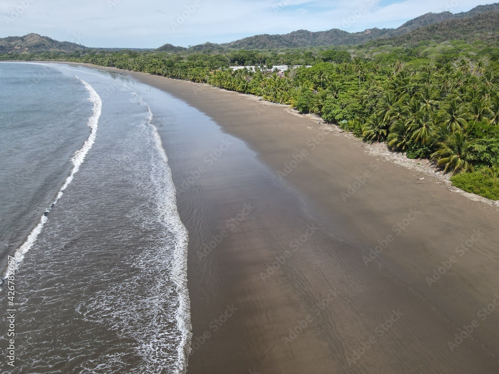 Tambor Beach, Costa Rica - Tropical Paradise Beach lined with palm trees	