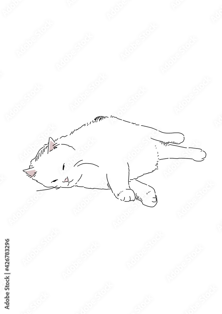 Obraz premium 猫