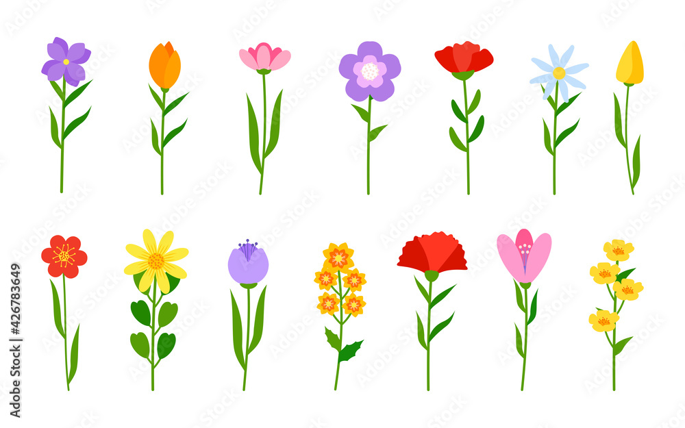 Different colored flowers in flat cartoon style set. Floral romantic decor. Spring tulip, daffodils or daisy on stem. Simple flower with green branch and leaf. Bloom plant Isolated vector illustration