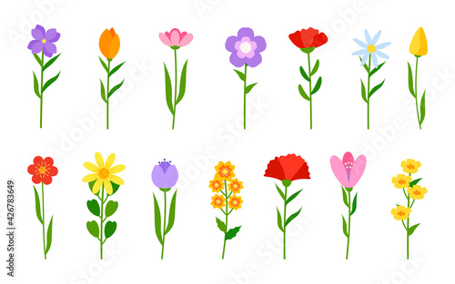 Different colored flowers in flat cartoon style set. Floral romantic decor. Spring tulip, daffodils or daisy on stem. Simple flower with green branch and leaf. Bloom plant Isolated vector illustration