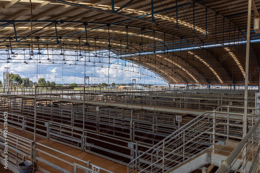 The Central West Livestock Exchange near Forbes in regional Australia