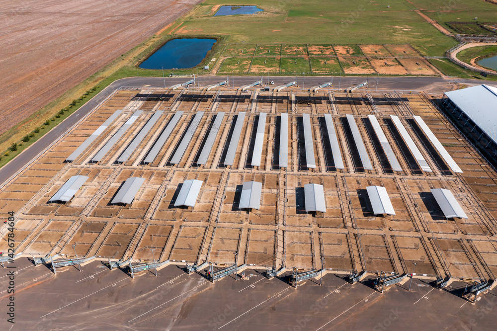 Obraz premium The Central West Livestock Exchange in regional Australia