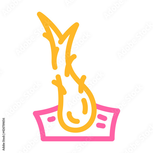 split ends hair color icon vector. split ends hair sign. isolated symbol illustration