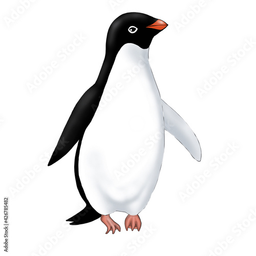 Obraz na plátně illustration of adelie penguin on white