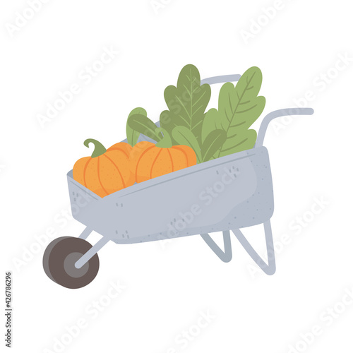 agriculture pumpkins wheelbarrow