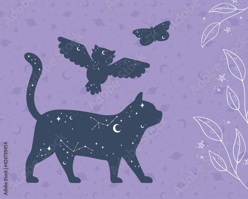 animals mystic astrology