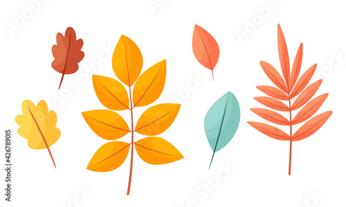 Vector set of autumn leaves in cartoon style. Yellow, red, orange leaves from trees. Isolated on a white background. 