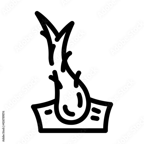 split ends hair line icon vector. split ends hair sign. isolated contour symbol black illustration