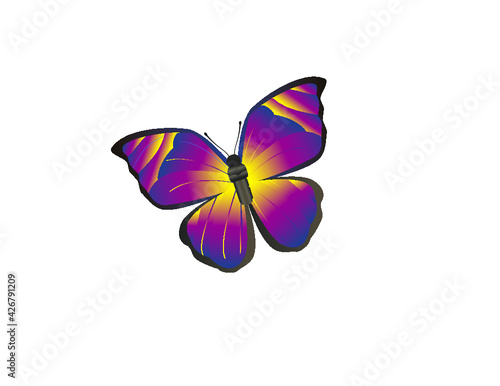 Mariposa