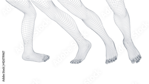 Human body parts. Foot wireframe vector.