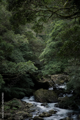 waterfall in the forest