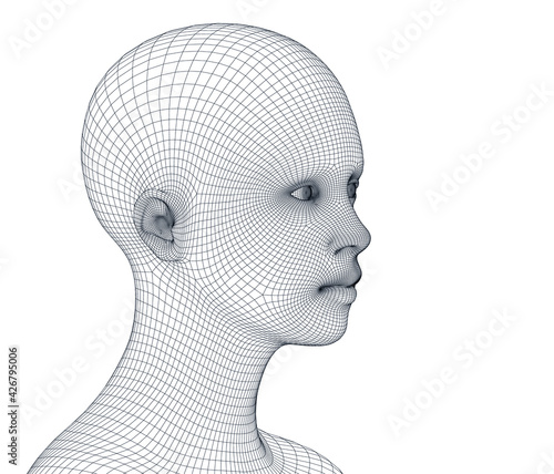 Vector concept or conceptual 3D wireframe Cartoon human female