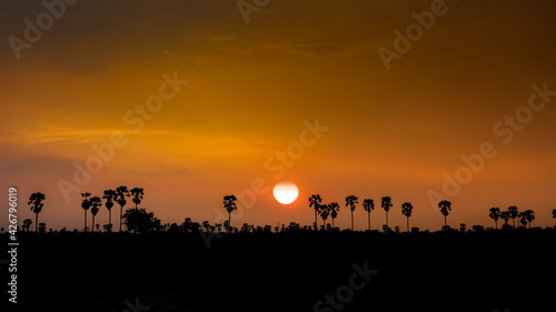 Silhouette palm trees at sunset. © worawut