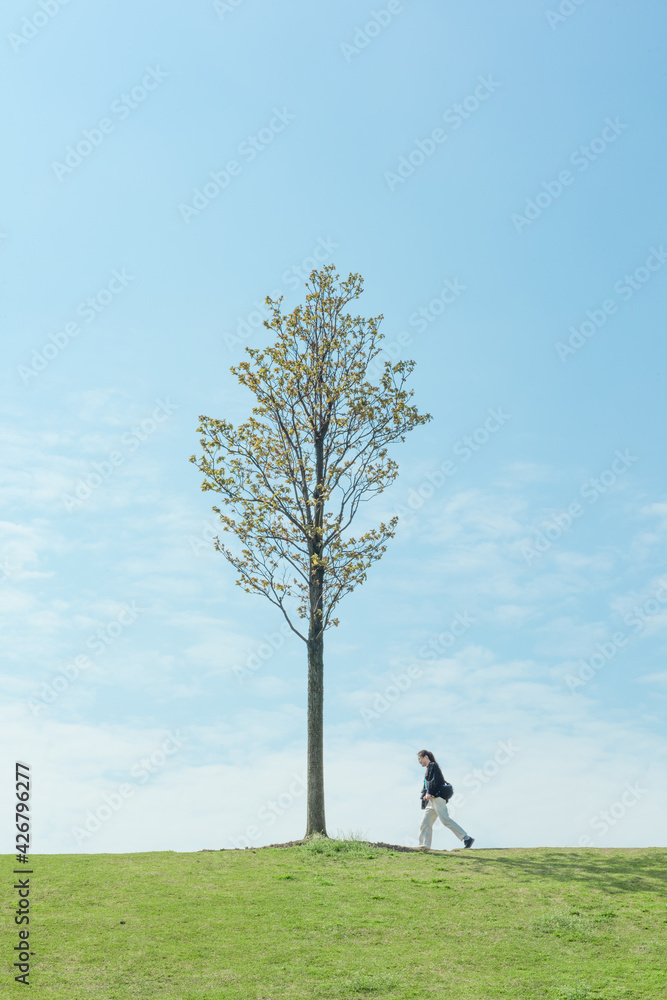 single tree and a girl, field and blue sky