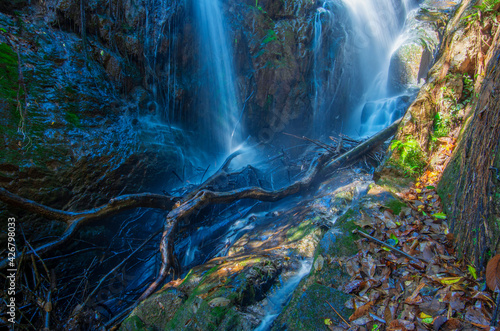 waterfall in the forest