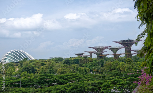  View of Gardens by the Bay from Dragonfly Bridge