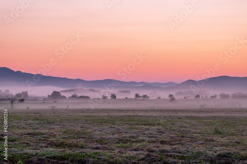 滝上町 牧草地の朝の風景 