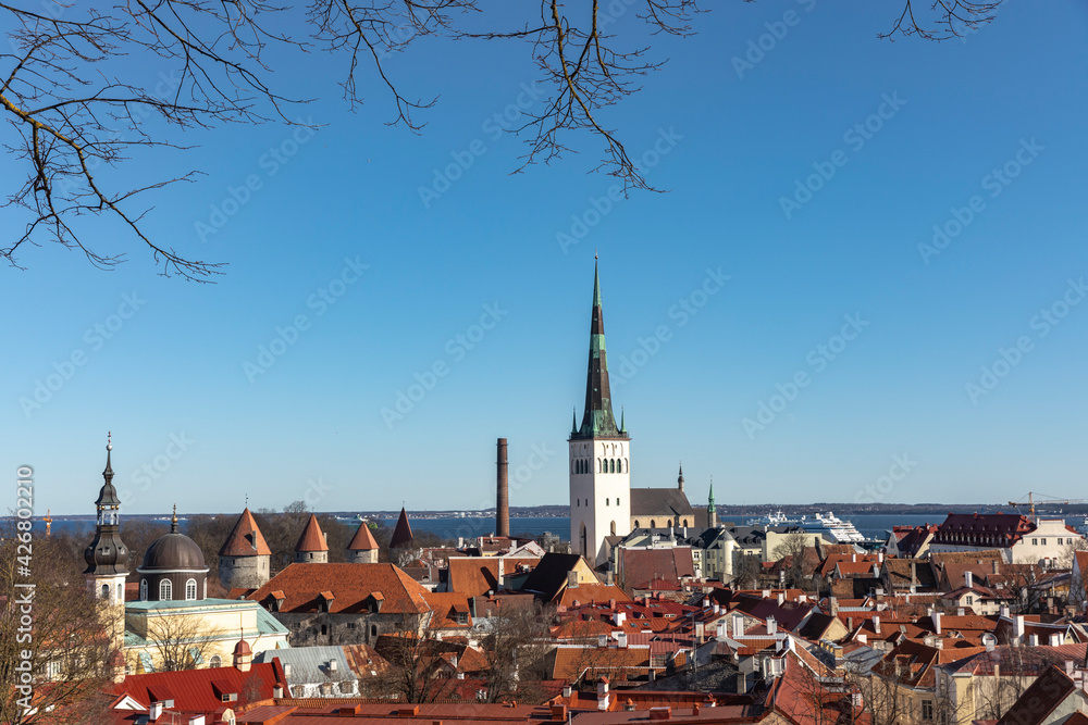 Tallinn Old town red roofs
