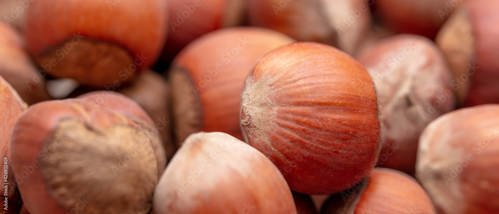 Close-up of fresh hazelnuts as background. Close-up of fresh hazelnuts as background.