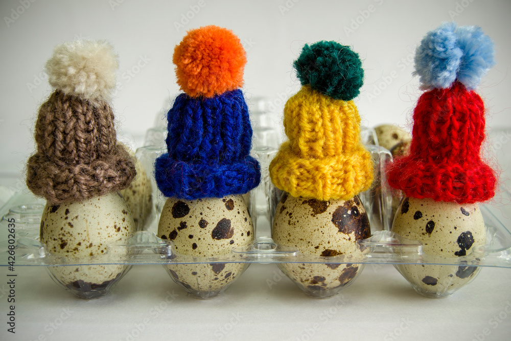 quail eggs in a tray. eggs in winter hats